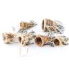 Image 1 : Lot of 5 Apache Burden Baskets