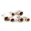 Image 2 : Lot of 5 Apache Burden Baskets