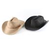 Image 1 : Lot of 2 Cowboy Hats