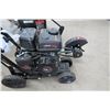 Image 3 : Legend 79 CC Gas Edger