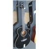 Image 1 : Washburn Acoustic Guitar w/Case