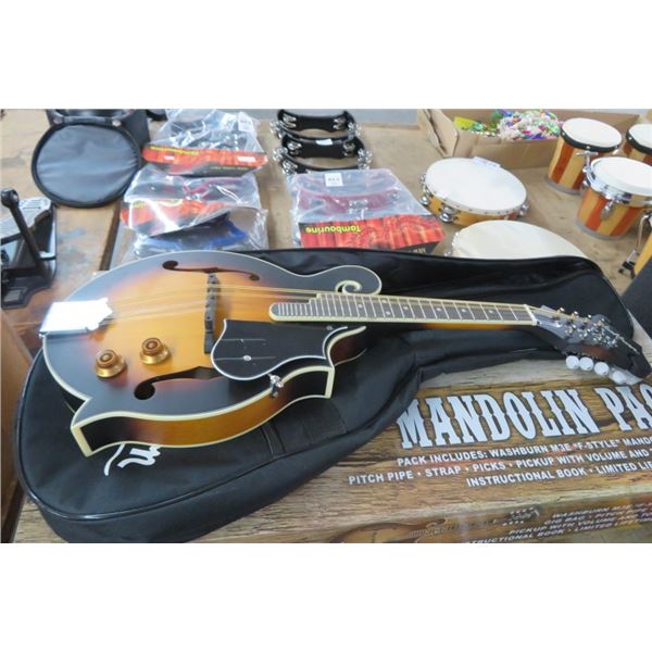 Washburn Mandolin Elec