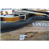 Image 2 : Washburn Mandolin Elec