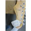Image 3 : Sundown Electric 6 String Guitar
