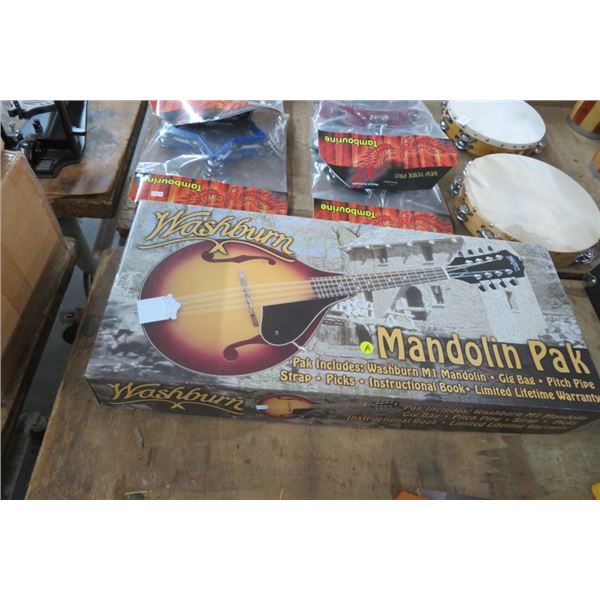 Washburn Mandolin