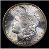 Image 2 : 1882-s Morgan Dollar $1 Grades GEM Unc