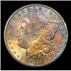 Image 2 : 1883-cc Rainbow toned Morgan Dollar /cc vam 5 I3 R3 $1 Grades Select Unc