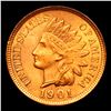 Image 2 : ***Auction Highlight*** 1901 Indian Cent 1c Graded ms66 rd By SEGS (fc)