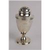 Image 1 : A GEORGE III SILVER CASTOR