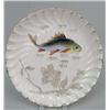 Image 2 : FOURTEEN FRENCH HAND-PAINTED PORCELAIN PARCEL-GILT DECORATED FISH PLATES