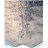 Image 8 : A LARGE SEA TURTLE SHELL
