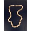 Image 1 : A GRADUATED CULTURED PEARL NECKLACE