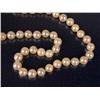 Image 2 : A VERY FINE STRAND OF CULTURED PEARLS WITH 14K WHITE GOLD AND PEARL CLASP