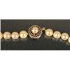Image 3 : A VERY FINE STRAND OF CULTURED PEARLS WITH 14K WHITE GOLD AND PEARL CLASP