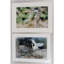 TWO FRAMED PHOTOGRAPHS