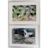 Image 1 : TWO FRAMED PHOTOGRAPHS