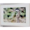 Image 6 : TWO FRAMED PHOTOGRAPHS