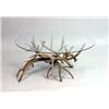 Image 1 : A CONTEMPORARY ANTLER AND GLASS COFFEE TABLE