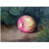 Image 3 : AN OIL ON CANVAS STILL LIFE OF AN APPLE