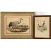 Image 1 : TWO HAND-TINTED ORNITHOLOGICAL LITHOGRAPHS BY JOHN GOULD