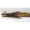 Image 2 : AN INDONESIAN NAGA-FORM CARVED BONE BLOWGUN