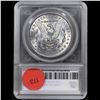 Image 5 : ***Auction Highlight*** 1900-o/cc Top 100 Morgan Dollar vam 12 I5 R5 $1 Graded ms65+ By SEGS (fc)
