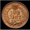 Image 3 : 1904 Indian Cent 1c Grades GEM+ Unc BN