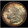 Image 2 : 1886-p Morgan Dollar $1 Grades Choice Unc