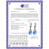 Image 2 : Genuine 20.5 ctw Blue Topaz Earrings 14KT Rose Gold - REF-36P8H