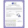 Image 2 : Genuine 1.50 ctw Tanzanite Earrings 14KT Rose Gold - REF-25P4H