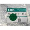 Image 11 : (3) CKD Corp 