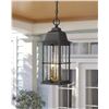 Image 2 : NEW IN BOX ZEYU 2 LIGHT OUTDOOR PENDANT LIGHT