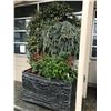 Image 2 : CAPITAL GARDEN PRODUCTS FAUX LEAD FIBREGLASS PLANTERS MADE IN THE UK WITH CUSTOM MADE IRON TRELLIS.