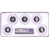 Image 2 : 2004-S Silver Proof State Quarter (5) Coin Set NGC Ultra Cameo