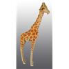 Image 1 : Steiff Studio Giraffe.