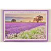 Image 1 : 1000PC FLOWER FIELD PUZZLE