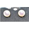 Image 1 : #175-FRESH WATER PEARLSTUD EARRINGS