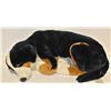 Image 1 : 34" BERNESE MOUNTAIN DOG PLUSHY