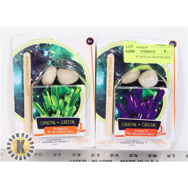 TWO NEW CRYSTAL GROWING KITS