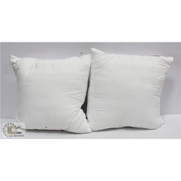 SET OF 2 WHITE THROW PILLOWS APPROX. 16X16"