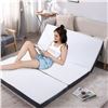 Image 2 : 4 INCH FOAM TRI-FOLDING MATTRESS