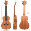 Image 2 : NEW PERFORMER CONCERT UKULELE IN WRAP