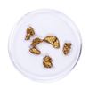 Image 1 : Lot of Gold Nuggets 3.29 grams Total Weight