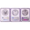 Image 2 : 20th Anniversary 2006 $1 American Silver Eagle (3) Coin Set NGC MS69/PF69