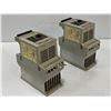 Image 2 : (2) Allen Bradley # 160-BA03NPS1 Modules