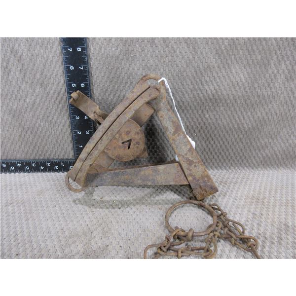 Oneida Victor Double Spring Trap