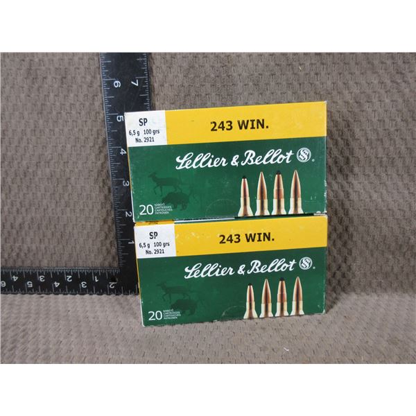 .243 Win. 100gr SP Sellier & Bellot