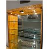 Image 3 : Lighted Display Case