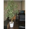 Image 2 : 1 Fake Tree & 2 Decorative Vases