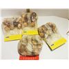 Image 2 : LOT OF 4 15 PACKS TULIP BULBS